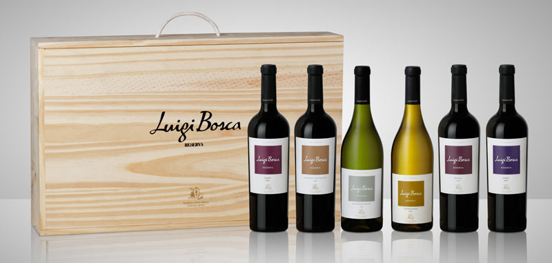 Wina Luigi Bosca w Klubie Wino